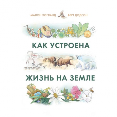 Человек. Земля. Вселенная, книга Как устроена жизнь на Земле купить по низкой цене