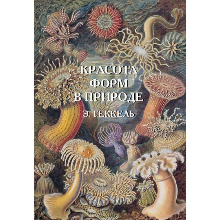 Зоология, книга Красота форм в природе купить по низкой цене