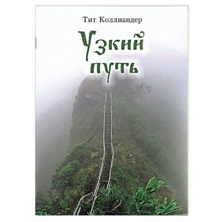 Православие в целом, книга Узкий путь купить по низкой цене