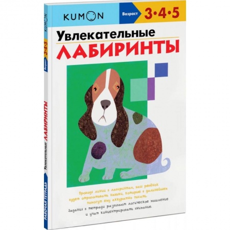 Развитие внимания и воображения, книга Увлекательные лабиринты купить по низкой цене