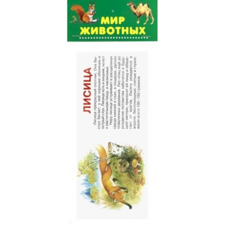 Животный и растительный мир, книга Мир животных. Набор карточек купить по низкой цене