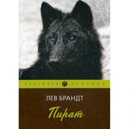 Русская современная проза, книга Пират купить по низкой цене