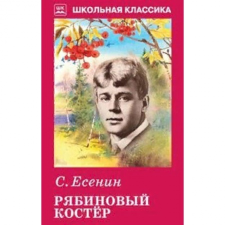 Русская поэзия для детей, книга Рябиновый костер купить по низкой цене
