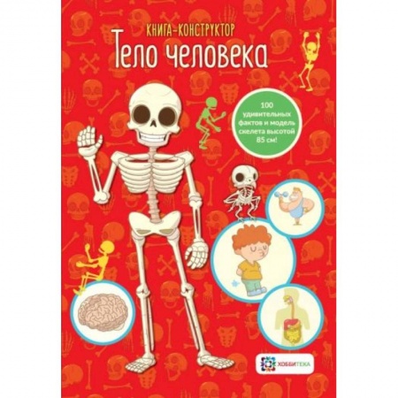 Познавательная литература, книга Тело человека.  Книга - конструктор купить по низкой цене