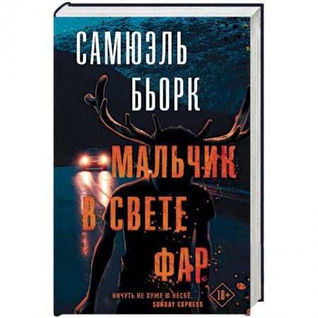 Зарубежный детектив, книга Мальчик в свете фар купить по низкой цене