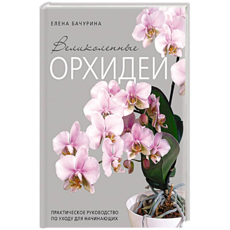 Сад, огород, цветы, дизайн участка, книга Великолепные орхидеи. Практичное руководство по уходу для начинающих купить по низкой цене