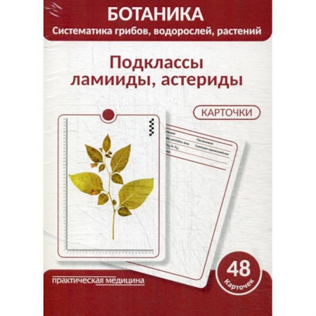 Ботаника, книга Ботаника. Систематика грибов, водорослей, растений. Подклассы ламииды, астериды купить по низкой цене