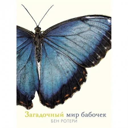 Животный и растительный мир, книга Загадочный мир бабочек купить по низкой цене