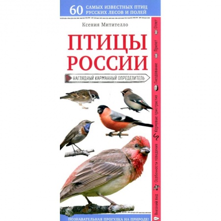 Зоология, книга Птицы России. Наглядный карманный определитель купить по низкой цене
