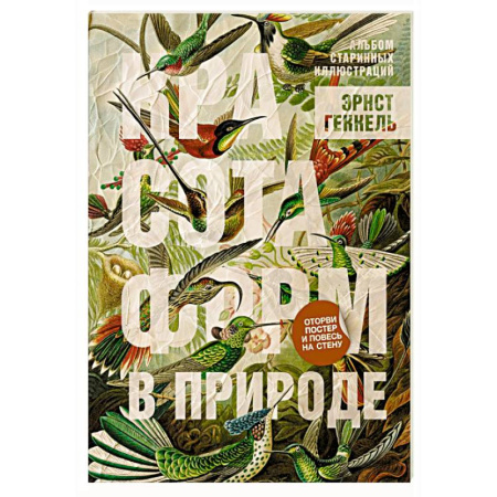 Альбомы по искусству. Фотоальбомы, книга Красота форм в природе. Альбом старинных иллюстраций купить по низкой цене