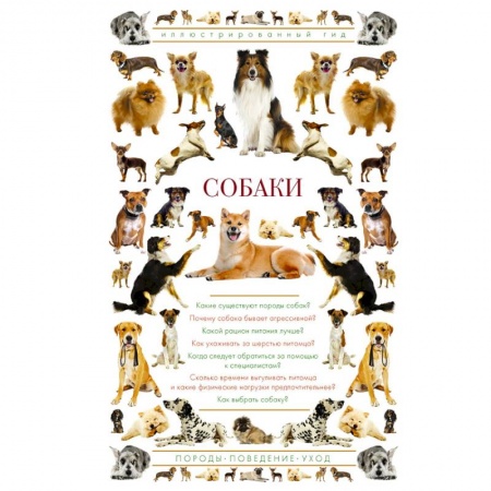 Уход, содержание, лечение, книга Собаки. Иллюстрированный гид купить по низкой цене
