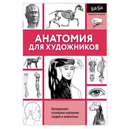 Основы рисования и живописи, книга Анатомия для художников купить по низкой цене