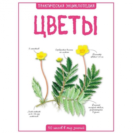Животный и растительный мир, книга Цветы. Практическая энциклопедия купить по низкой цене