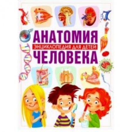 Человек. Земля. Вселенная, книга Анатомия человека. Энциклопедия для детей купить по низкой цене